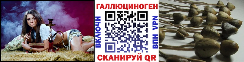 наркошоп  Арзамас  Галлюциногенные грибы GOLDEN TEACHER 
